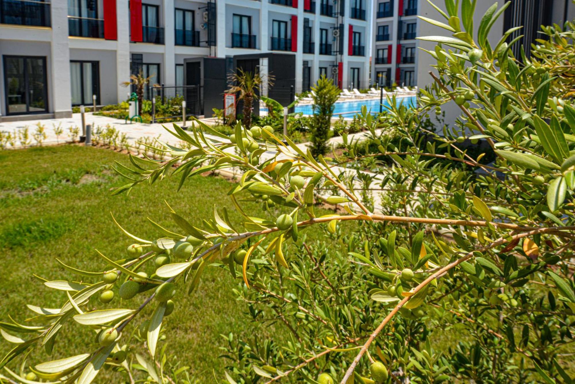 C Suites Antalia Airport Kültér fotó